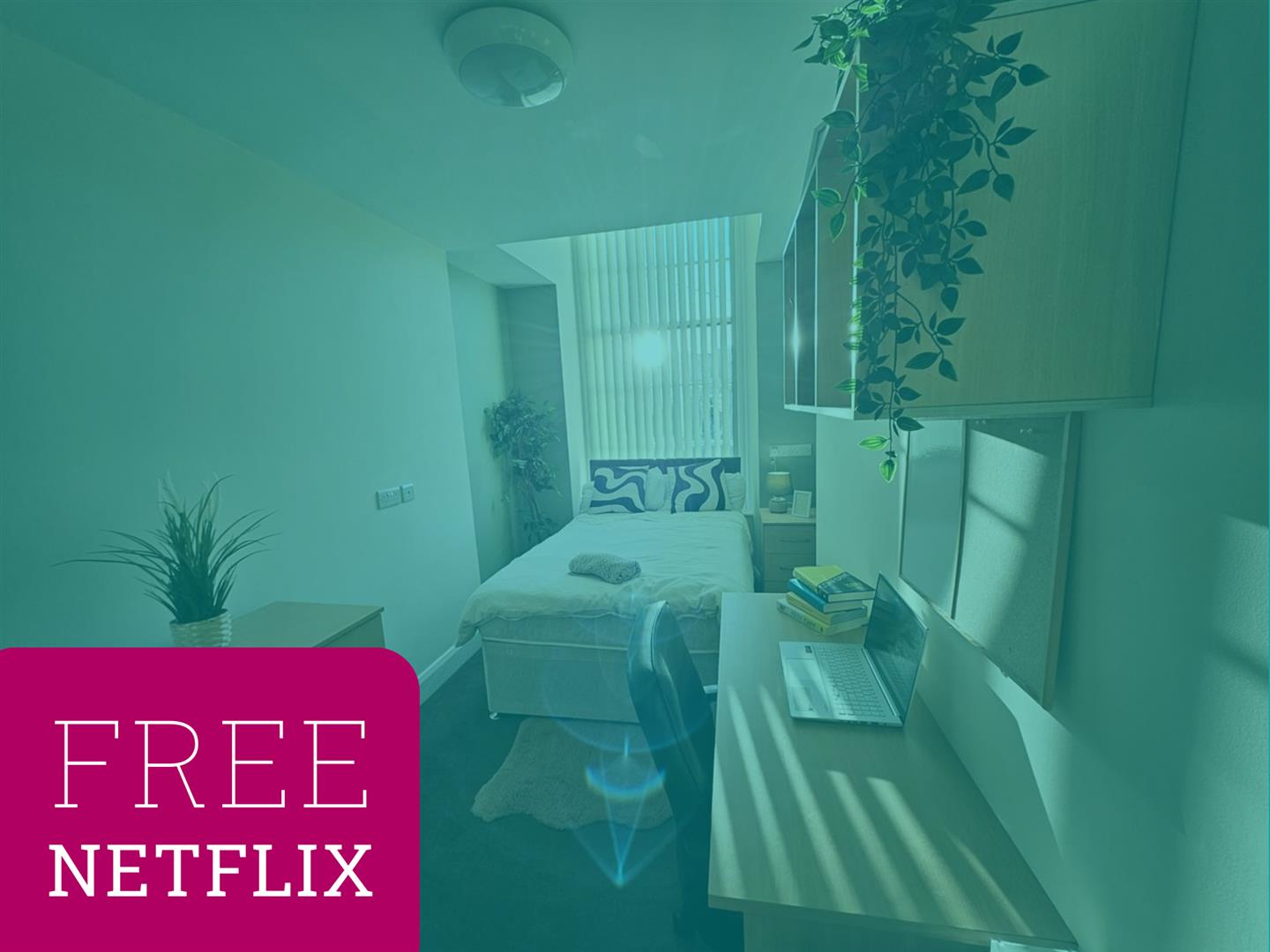 Flat 1, 5 Queen Street